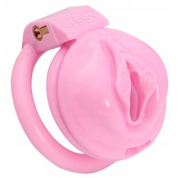 labia chastity cage